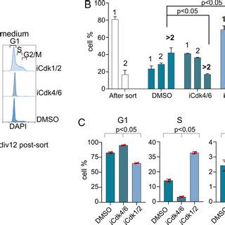 Effect Of Cdk Inhibition On Mitogen Independent B Cell Proliferation