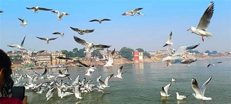 Varanasi Private Sightseeing Day Tour Ganga Cruises