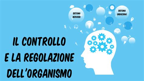 IL CONTROLLO E LA REGOLAZIONE DELL ORGANISMO By Federica Mengon On Prezi