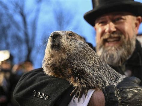 Punxsutawney Phil Predicts An Early Spring The Canberra Times