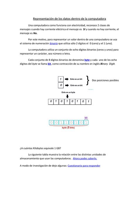 Representación de los datos dentro de la computadora PDF