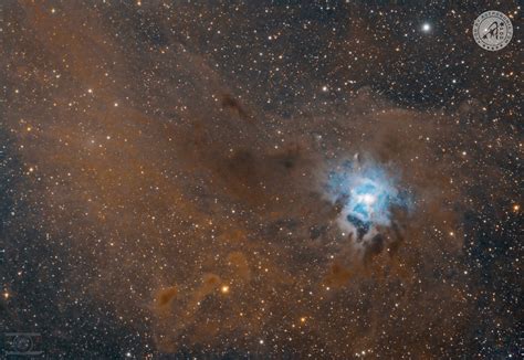 Iris Nebula Apod By Astronomia