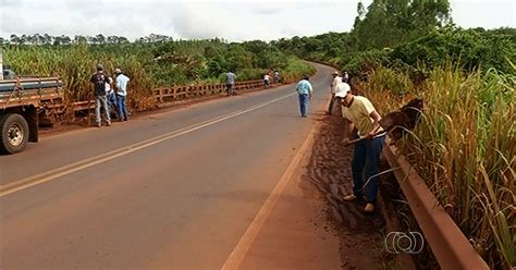 G1 Produtores rurais se unem para fazer limpeza na GO 184 em Jataí