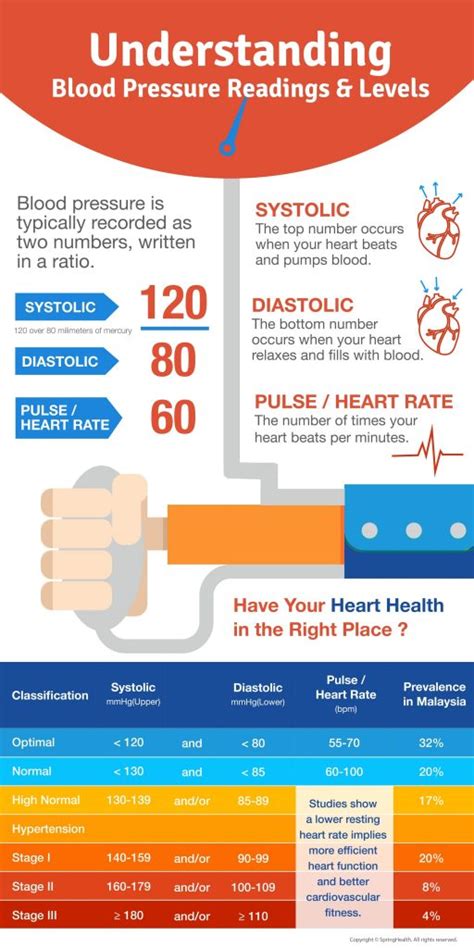 Understand Blood Pressure Reading Springhealth