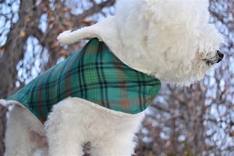 Handmade Irish Wool Dog Coat Green Plaid Dog Coat Warm Dog Etsy