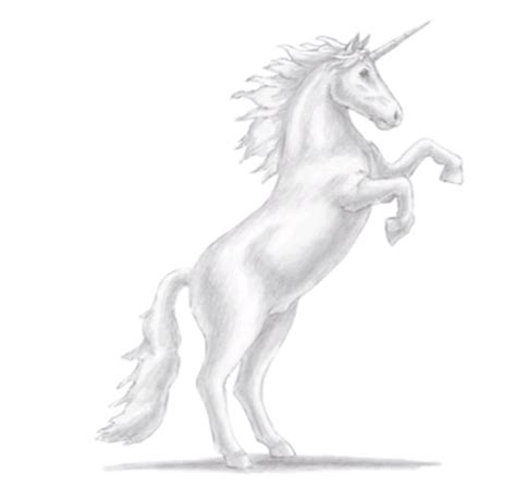 Unicorn Drawing Step by Step | Pencil Sketch Drawing | Unicorn drawing ...