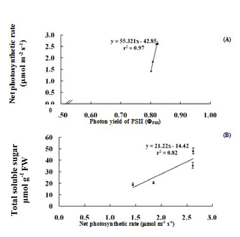 Relationship Between Photon Yield Of Psii And Net Photosynthetic Rate