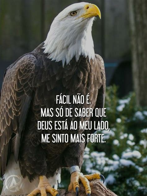 Pinterest Frases Para Invejosos Mensagem Falando De Deus Frases