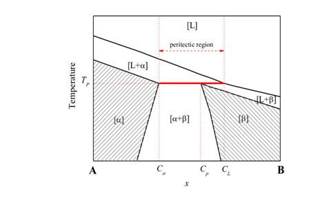 Schematic Illustration Of A Phase Diagram Which Shows A Peritectic