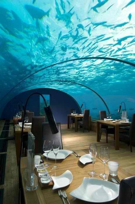 Underwater Restaurant, The Maldives Islands Places Around The World,