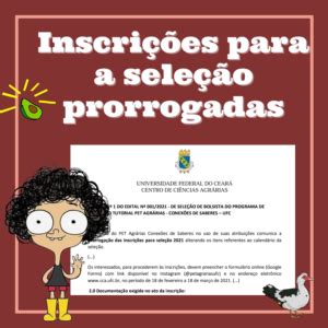 Prorrogadas as inscrições para bolsistas do Programa de Educação