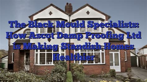 The Black Mould Specialists How Ascot Damp Proofing Ltd Is Making