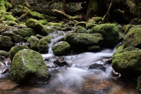 Canon Introduces RF 14-35mm F4L IS USM Lens & Share Sample Photos ...