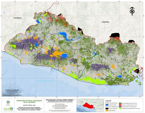 INVENTARIO NACIONAL DE BOSQUES DE EL SALVADOR Vielca Ingenieros