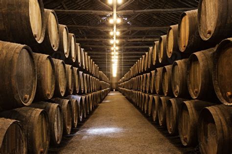 Barrels In The Wine Cellar Photo Background And Picture For Free