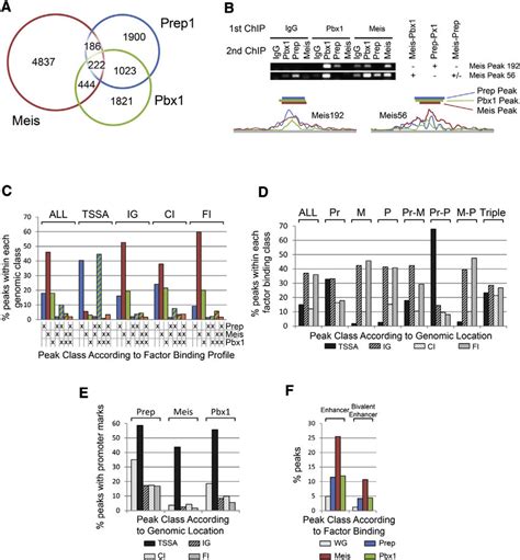 Meis And Prep Select Different Binding Sites And Gene Regulatory