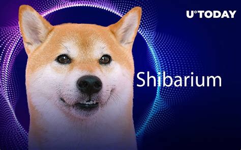 Shiba Inu Major Developer Hints At Shibarium Release