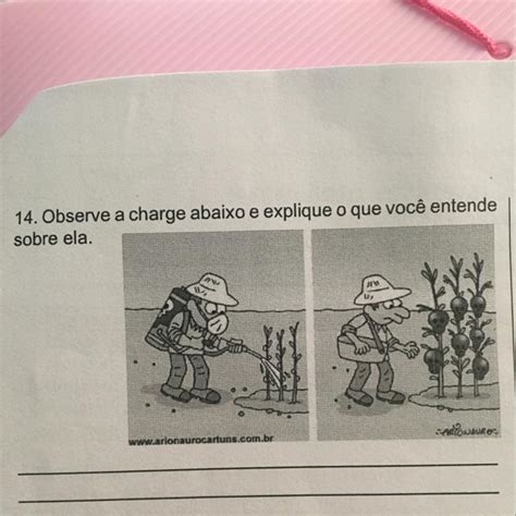 14 Observe a charge abaixo e explique o que você entende sobre ela