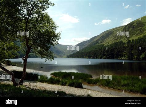 Wicklow Mountains And The Tranquil Upper Lake At Glendalough County