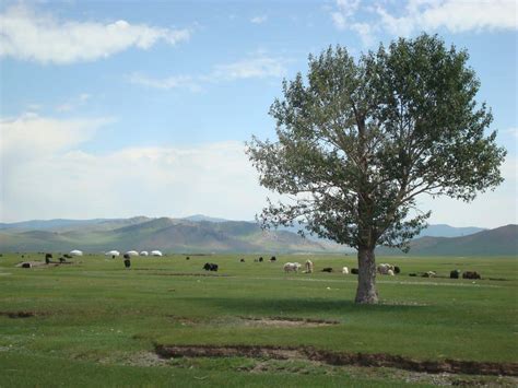 80 Mongolia Facts: The Land Of The Eternal Blue Sky - Facts.net