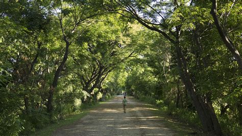 Los 7 Mejores Circuitos Para Correr Sin Alejarse De Buenos Aires Infobae