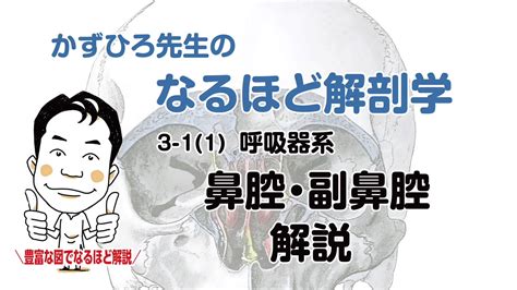 かずひろ先生 なるほど解剖学 On Twitter 【早割 7 31 23 59まで】 いよいよ7月もおわり 本日まで夏期講習の