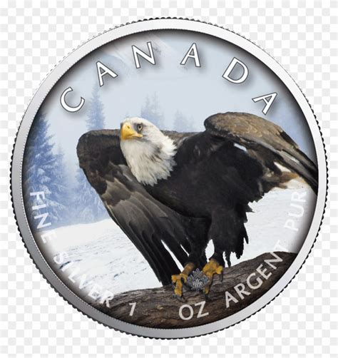 Ibca201957 1 - Canadian Wildlife Silver Coins 2019, HD Png Download ...