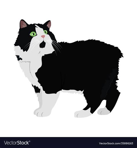 Black and white cute cat icon colorful design Vector Image