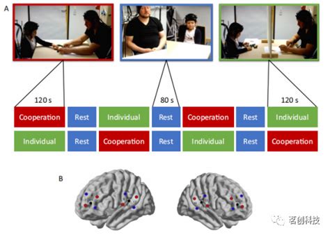 父亲 孩子在问题解决过程中的人际神经同步：fnirs超扫描研究 知乎