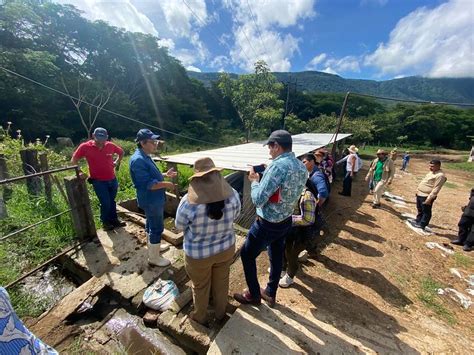 Productores Y Productoras Silvopastoriles De Jalisco Participan En Intercambio Interestatal De