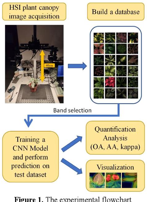 Figure 1 From Plant Species Recognition Based On Hyperspectral Plant