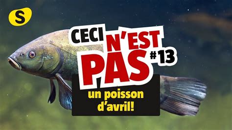 Ceci N Est Pas Un Poisson D Avril 13 YouTube