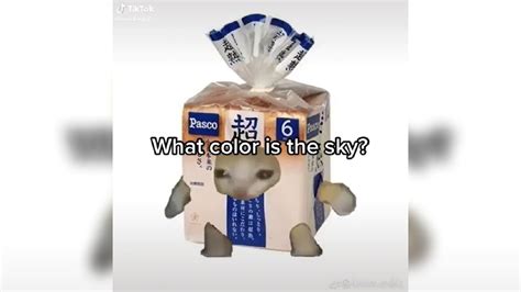 What Color Is The Sky? Ay Mi Amor Cat Meme | Know Your Meme