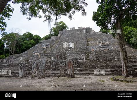 View Of Calakmul A Maya Archaeological Site Deep In The Forest Of The