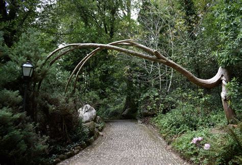 narnia world smithsonian photo contest smithsonian magazine