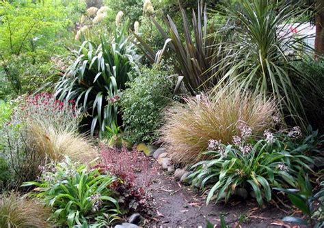 New Zealand Native Plants | Native garden, Garden landscape design ...