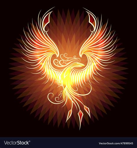 Rising fire burning phoenix bird on black Vector Image