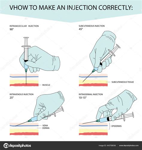 Como Fazer Uma Injeção Corretamente Infográficos Para Diferentes Tipos