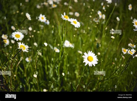 landscape format landscape format landscape format  res stock