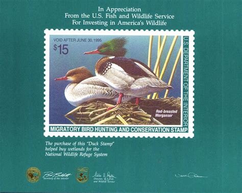 RW61 Federal Duck Stamp Certificate Of Appreciation Card RW61