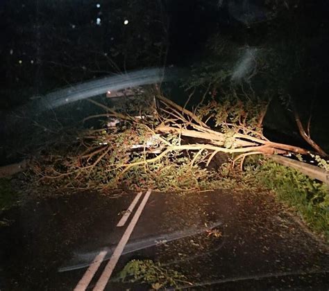 Tempête Ciaran un mort dans lAisne après la chute dun arbre sur un