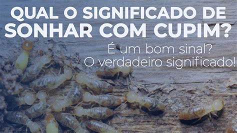 O Que Significa Sonhar Cupim Bom Ou Ruim O Verdadeiro