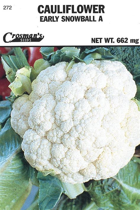 Cauliflower Early Snowball Crosman Seed Corp