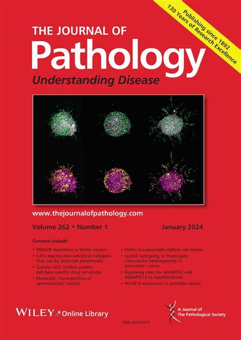 The Journal Of Pathology 影响因子5 6 Book学术