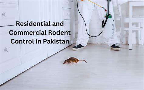 residential  commercial rodent control method  pakistan