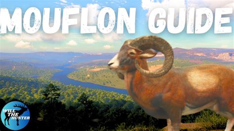 Cuatro Colinas Iberian Mouflon Zone Guide TheHunter Call Of The Wild