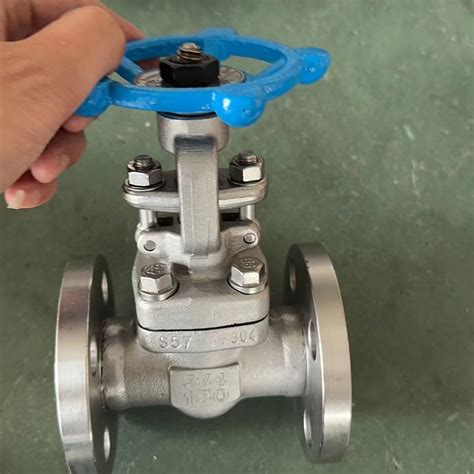 API602 A105 Forged Steel Solid Wedge Sw NPT 1in Cl800 Globe Valve