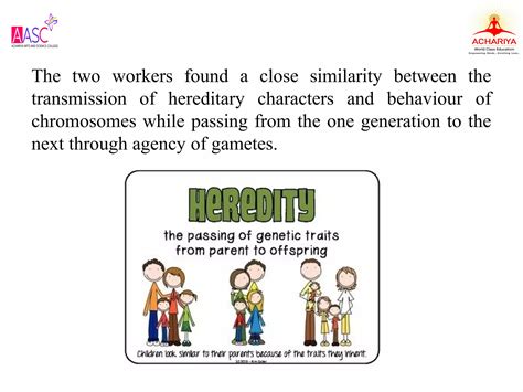 Chromosomal Theory Of Inheritance Ppt