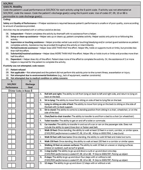 Section Gg Functional Abilities And Goals Issuu