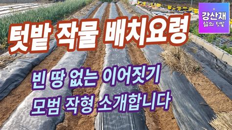 주말농장 텃밭농사 작물배치요령 빈땅 없이 이어짓기 주말농장 작형 보기 Youtube